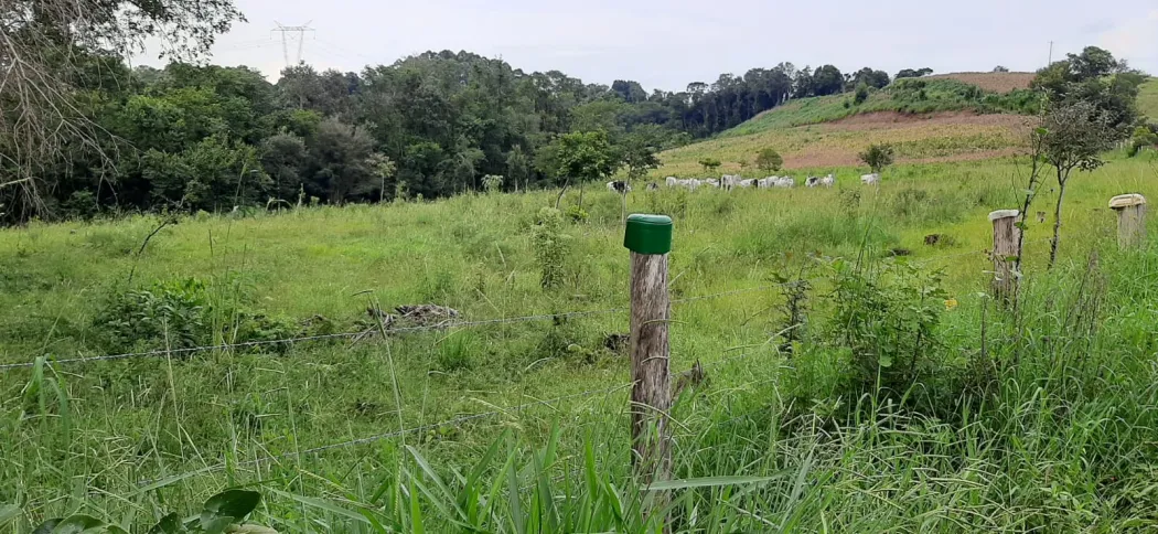AREA RURAL COM 78900 M² EM TRINDADE DO SUL/RS