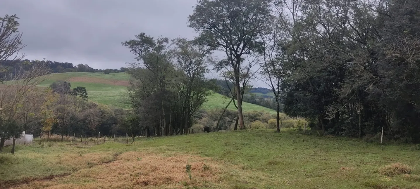 Imóvel Rural à Venda - Linha Bonita, Engenho Velho/RS