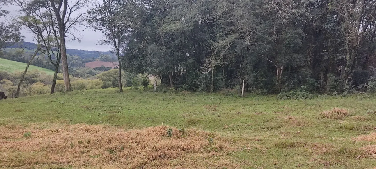 Imóvel Rural à Venda - Linha Bonita, Engenho Velho/RS