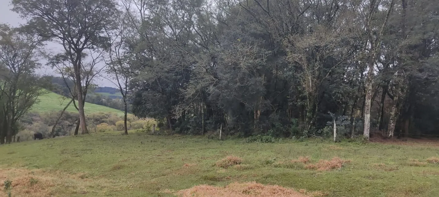 Imóvel Rural à Venda - Linha Bonita, Engenho Velho/RS