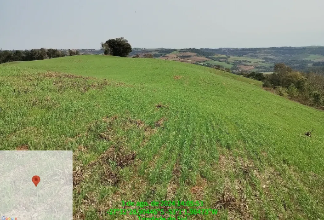 LOTE RURAL 8,25 HECTARES DISTRITO DE TRINDADE DO SUL/RS