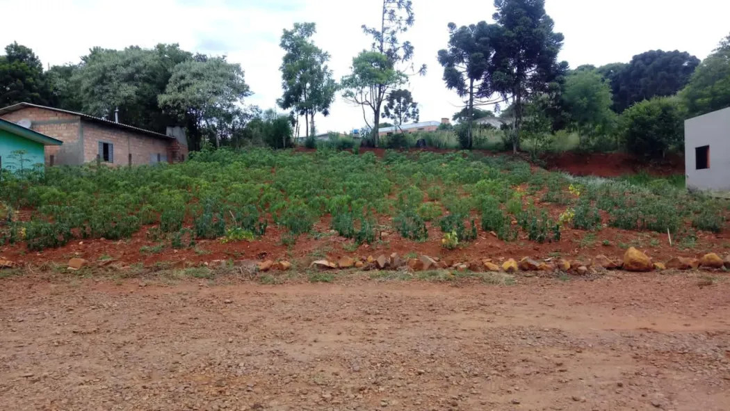 Terreno Urbano em Ronda Alta/RS - Com 287,59M²