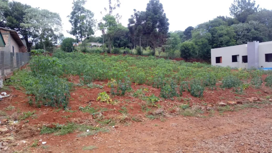 LOTE URBANO EM RONDA ALTA COM 287,59M²