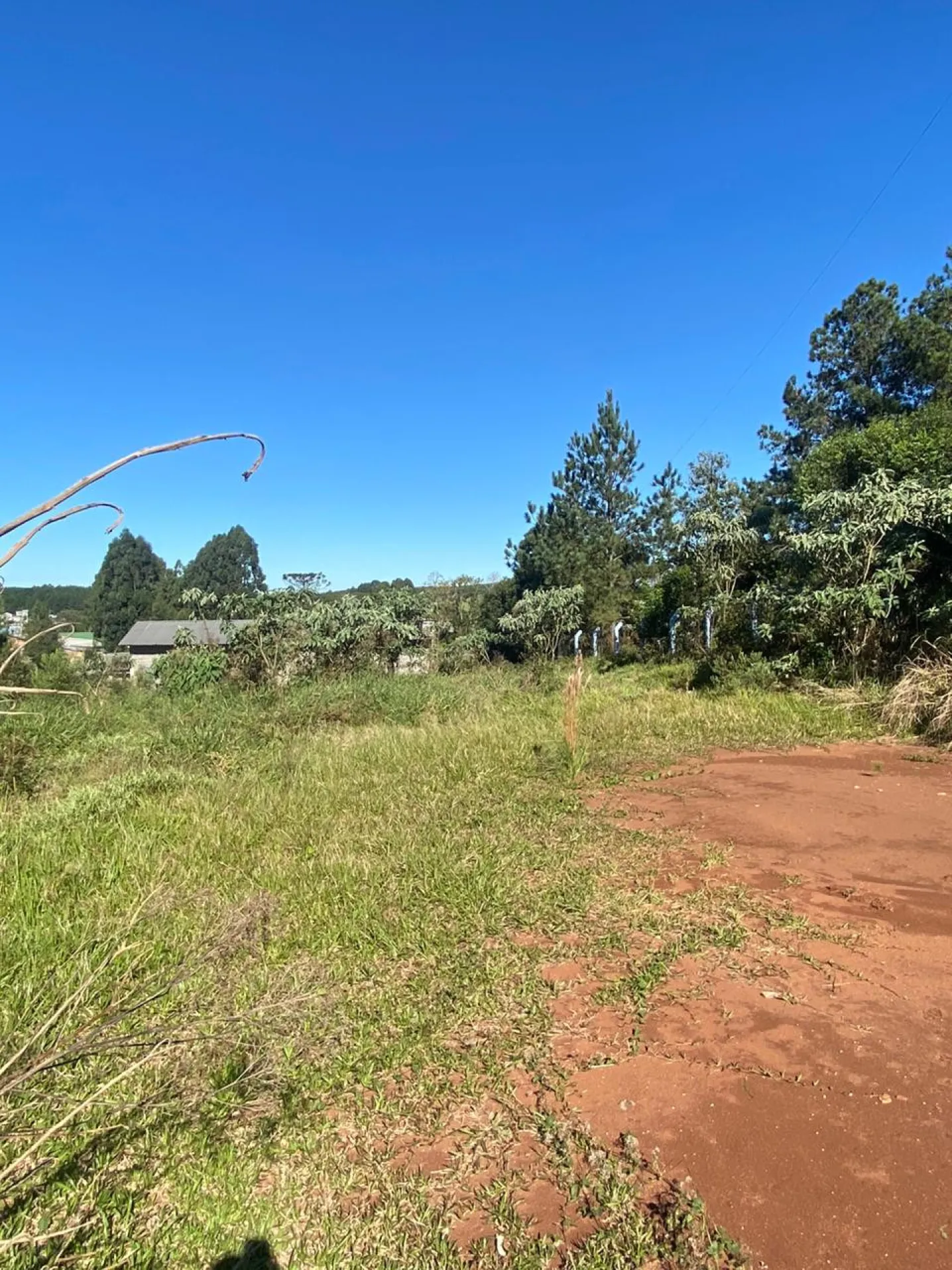 Terreno Urbano com área de 589.27m² em Erval Grande/RS