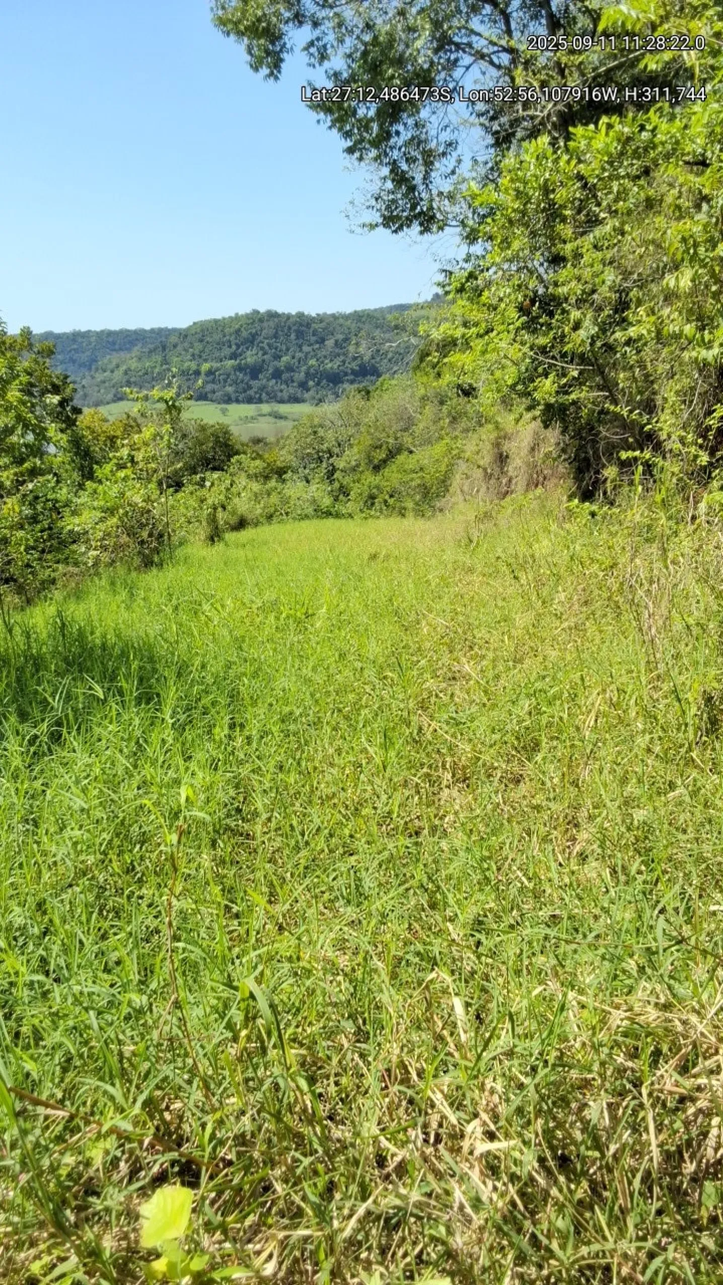 LOTES RURAIS NA LINHA URU, DISTRITO DO MUNICIPIO DE RIO DOS INDIOS/RS, COM ÁRA 232.799,00 M²