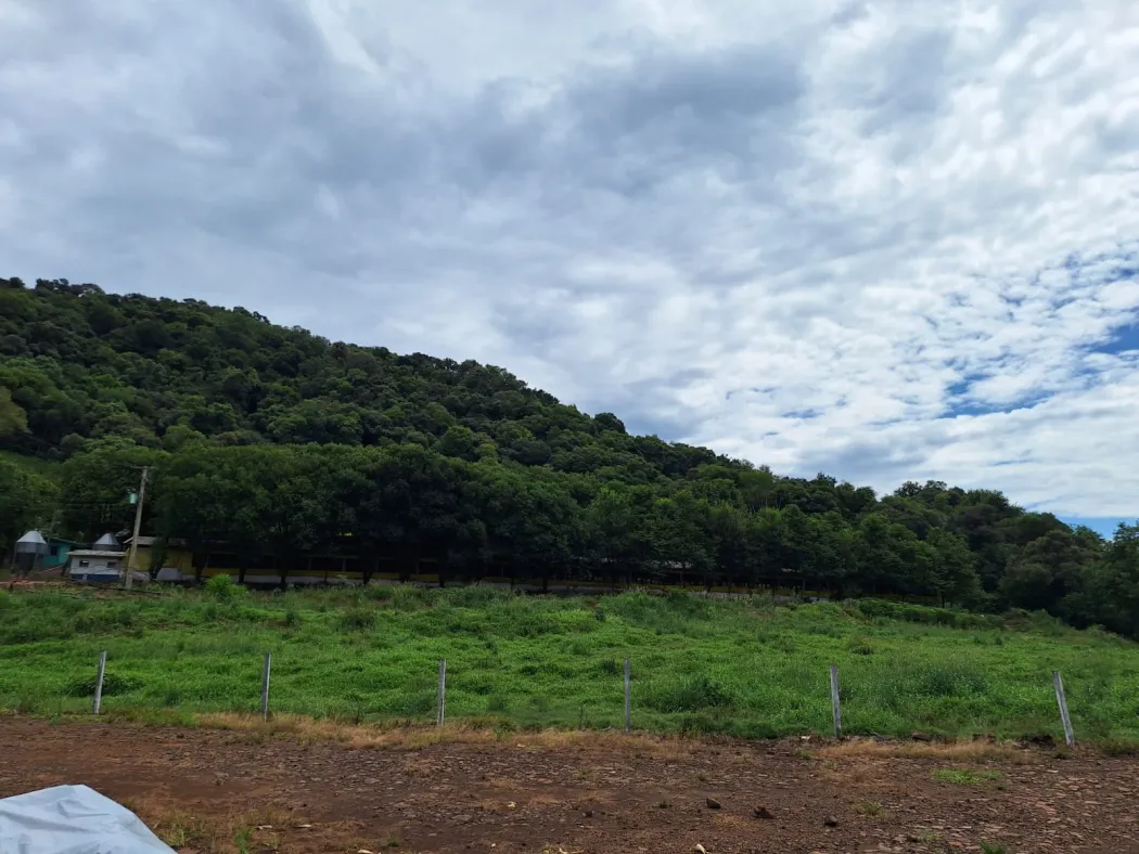 Imóvel Rural - Linha São Marcos em Constantina/RS