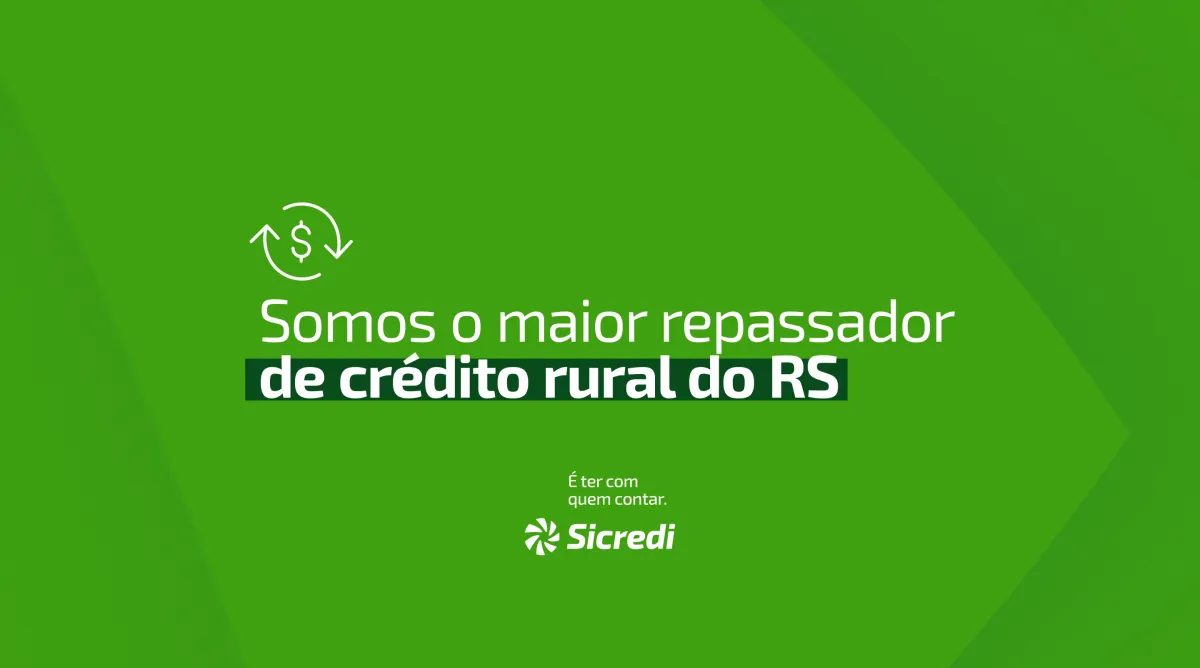 Sicredi é o maior repassador de crédito rural do RS no Plano Safra 2024/2025
