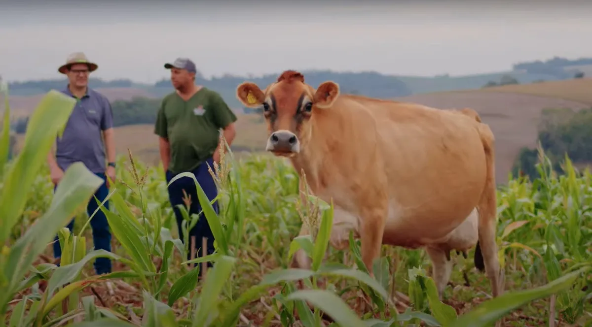 Previsões para o agro em 2025: o que esperar